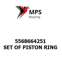 5568664251 Terex|Fuchs SET OF PISTON RING