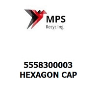 5558300003 Terex|Fuchs HEXAGON CAP