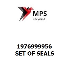 1976999956 Terex|Fuchs SET OF SEALS