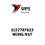 1157707623 Terex|Fuchs WING NUT